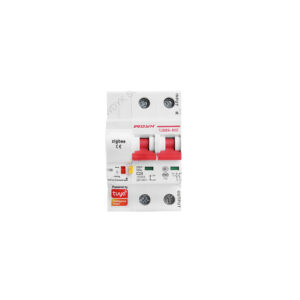 Tuya Zigbee Smart Circuit Breaker 2 CH