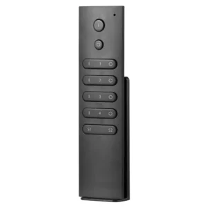 RGB Genie 4 Zone 2 Scene Remote Control