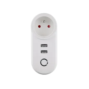 Moes Dual USB Plug FR